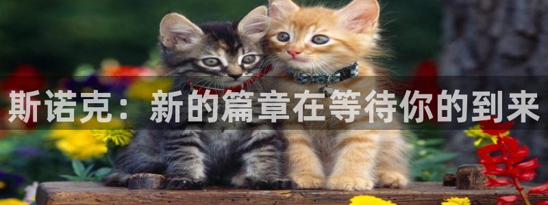 斯诺克：新的篇章在等待你的到来