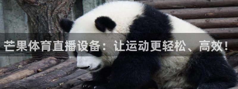 芒果体育直播设备：让运动更轻松、高效！