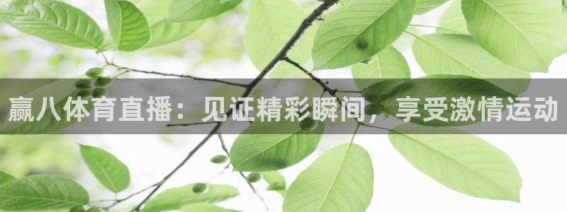 赢八体育直播：见证精彩瞬间，享受激情运动
