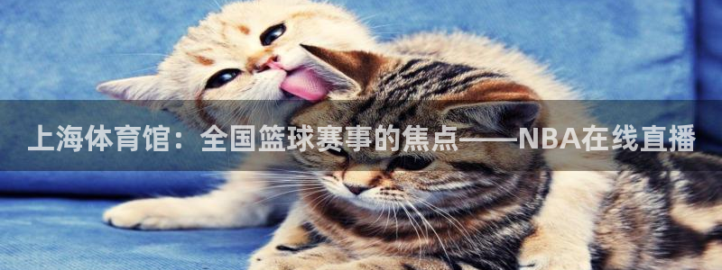 上海体育馆：全国篮球赛事的焦点——NBA在线直播