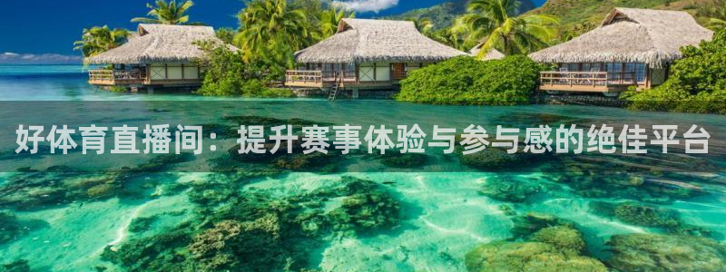 好体育直播间：提升赛事体验与参与感的绝佳平台