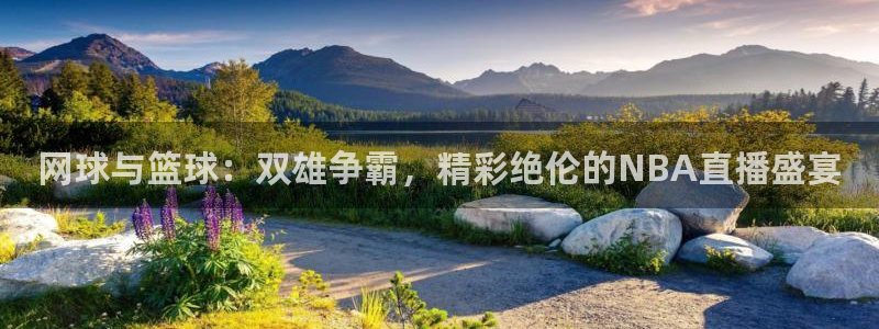 网球与篮球：双雄争霸，精彩绝伦的NBA直播盛宴