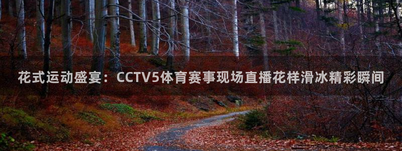 花式运动盛宴：CCTV5体育赛事现场直播花样滑冰精彩瞬间