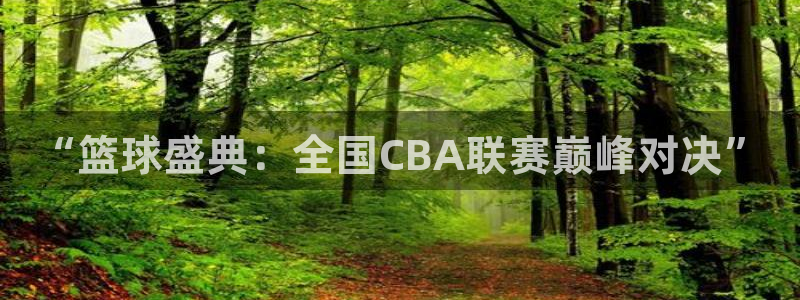 “篮球盛典：全国CBA联赛巅峰对决”