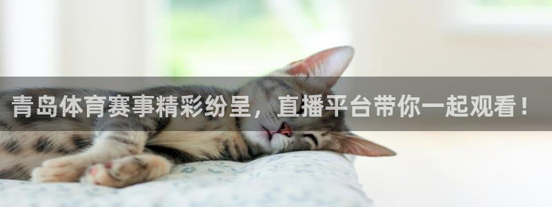 青岛体育赛事精彩纷呈，直播平台带你一起观看！
