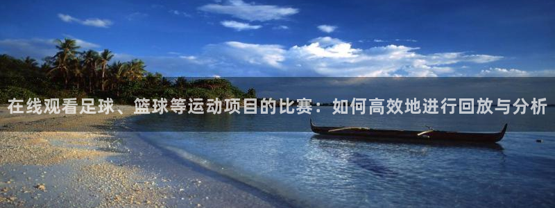 在线观看足球、篮球等运动项目的比赛：如何高效地进行回放与分析