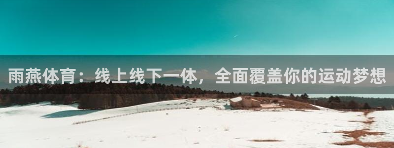 雨燕体育：线上线下一体，全面覆盖你的运动梦想