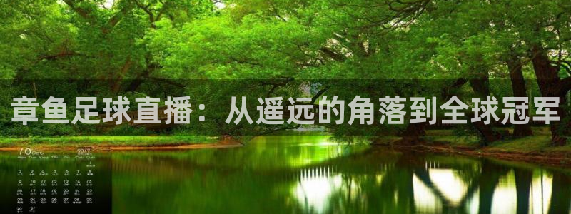 章鱼足球直播：从遥远的角落到全球冠军