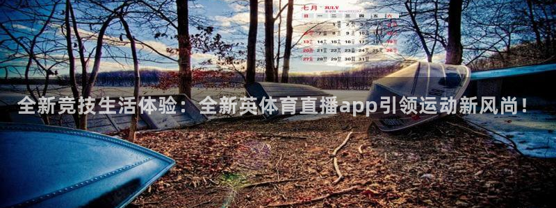 全新竞技生活体验：全新英体育直播app引领运动新风尚！