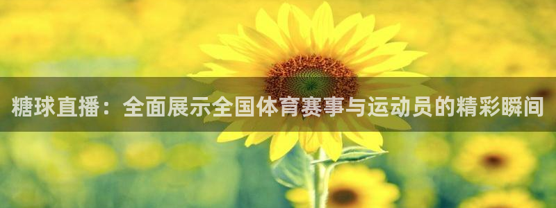 糖球直播：全面展示全国体育赛事与运动员的精彩瞬间