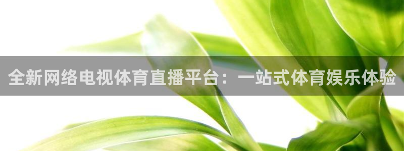 全新网络电视体育直播平台：一站式体育娱乐体验
