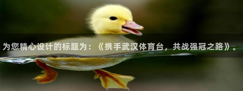 为您精心设计的标题为：《携手武汉体育台，共战强冠之路》。