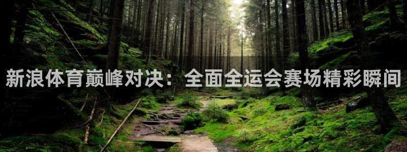 新浪体育巅峰对决：全面全运会赛场精彩瞬间