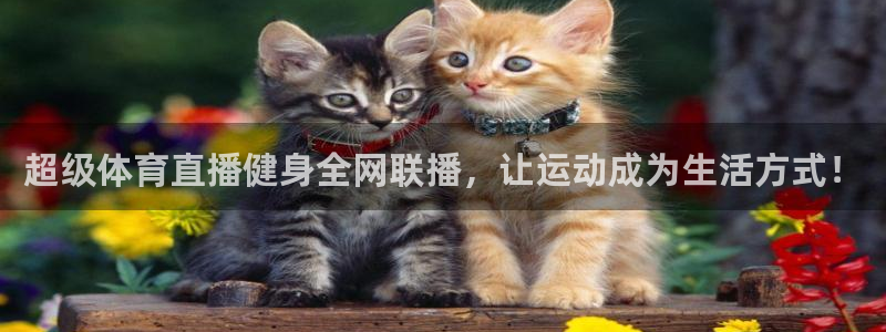 超级体育直播健身全网联播，让运动成为生活方式！