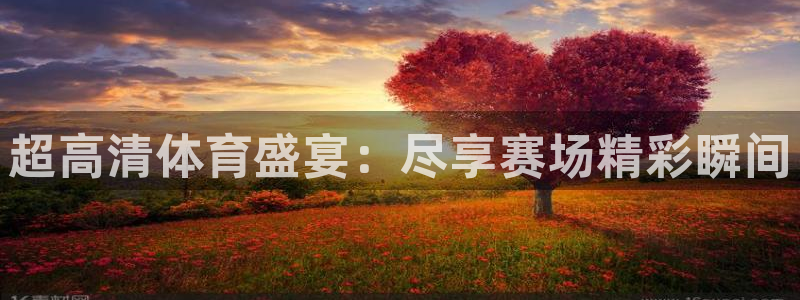 超高清体育盛宴：尽享赛场精彩瞬间