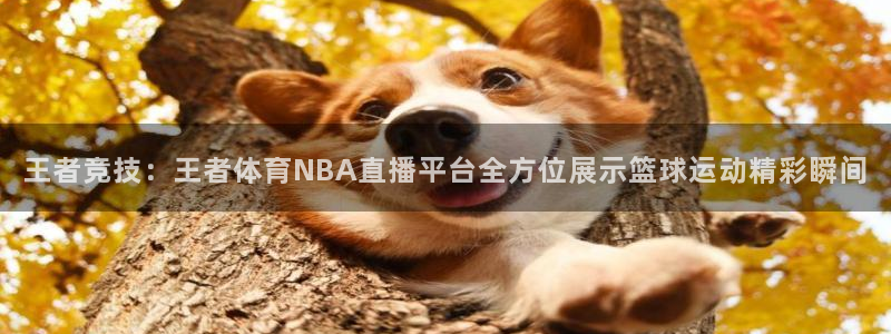 王者竞技：王者体育NBA直播平台全方位展示篮球运动精彩瞬间