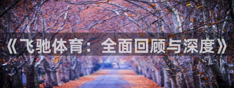 《飞驰体育：全面回顾与深度》