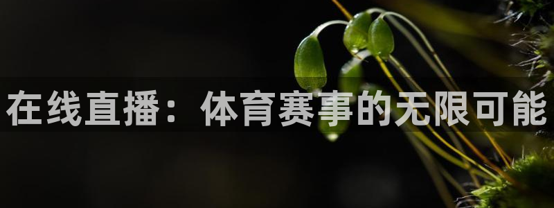 在线直播：体育赛事的无限可能