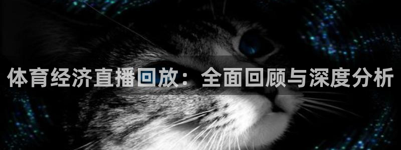 体育经济直播回放：全面回顾与深度分析