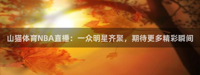 山猫体育NBA直播：一众明星齐聚，期待更多精彩瞬间