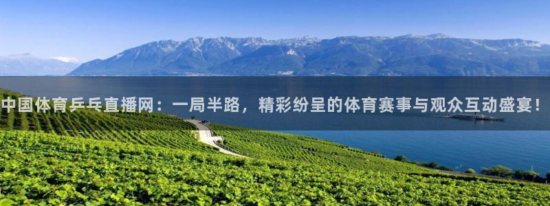 中国体育乒乓直播网：一局半路，精彩纷呈的体育赛事与观众互动盛宴！