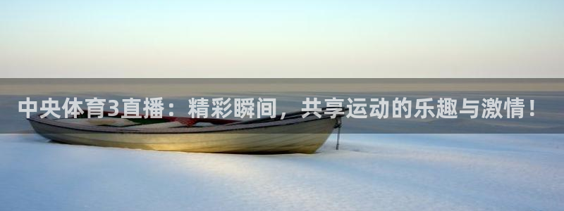 中央体育3直播：精彩瞬间，共享运动的乐趣与激情！