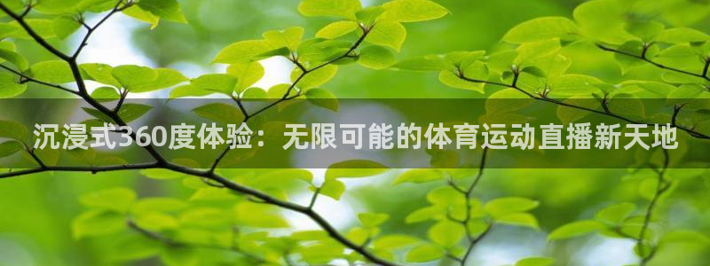 沉浸式360度体验：无限可能的体育运动直播新天地