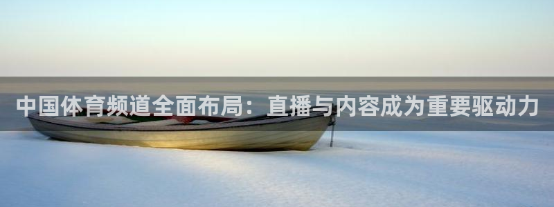 中国体育频道全面布局：直播与内容成为重要驱动力
