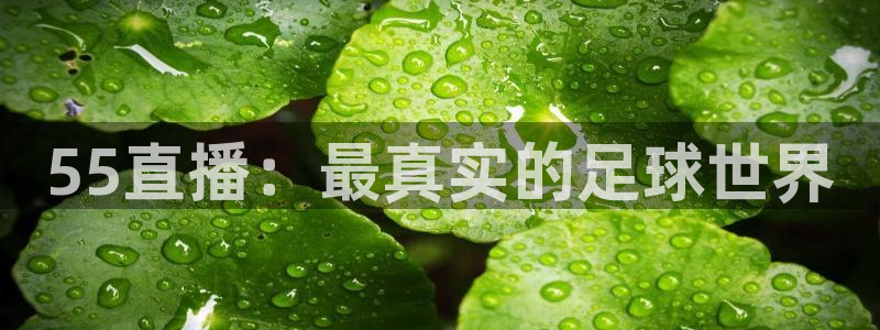 55直播：最真实的足球世界
