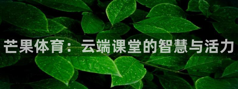 芒果体育：云端课堂的智慧与活力