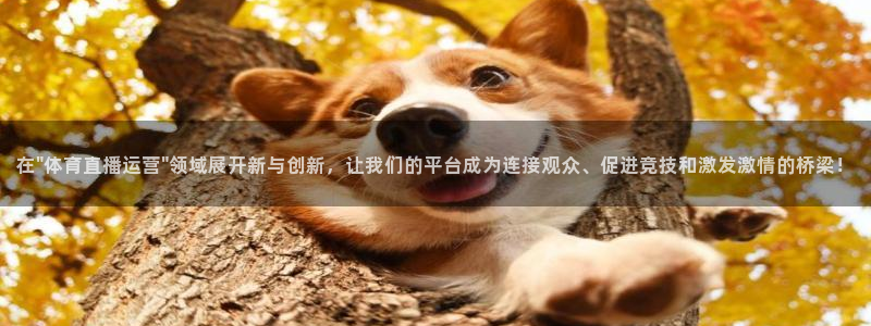 在\