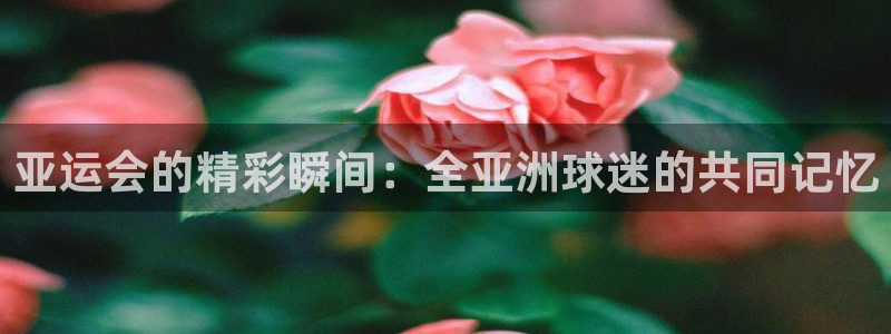 亚运会的精彩瞬间：全亚洲球迷的共同记忆