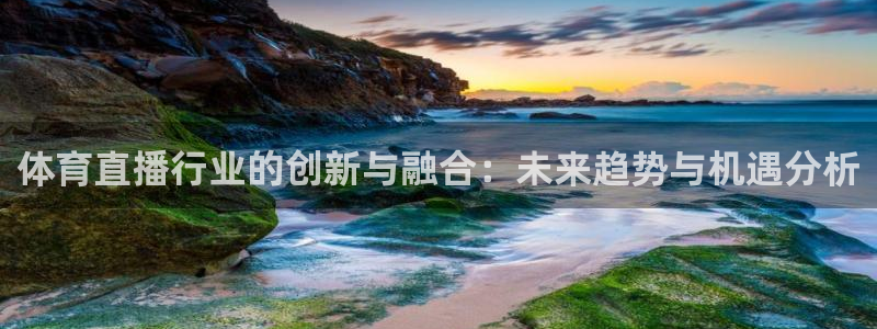 体育直播行业的创新与融合：未来趋势与机遇分析