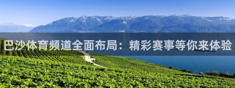 巴沙体育频道全面布局：精彩赛事等你来体验